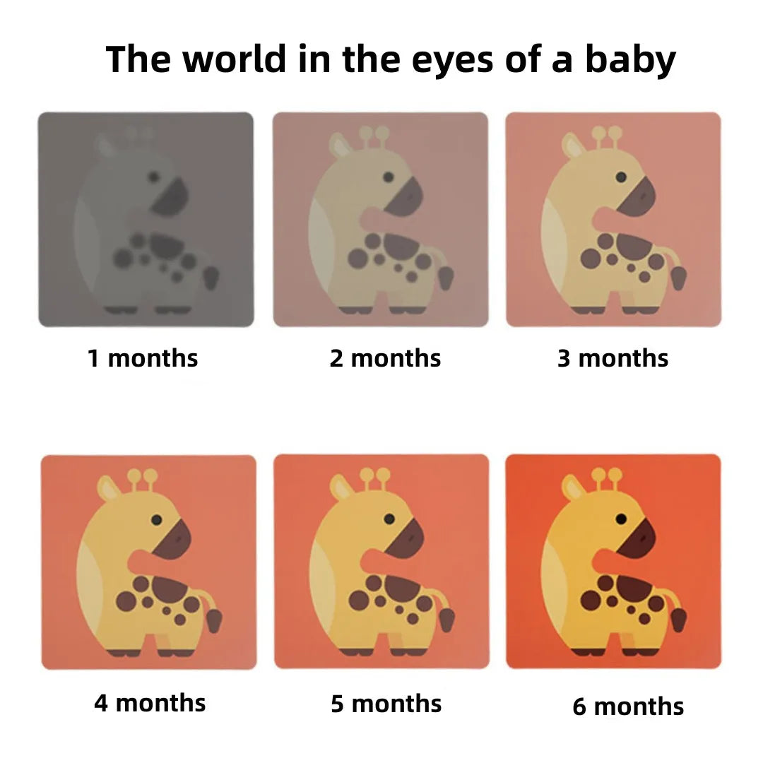 Cartes d’éveil Montessori à contraste élevé pour bébé